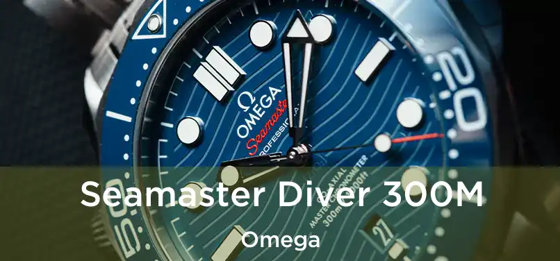 Seamaster Diver 300M Omega