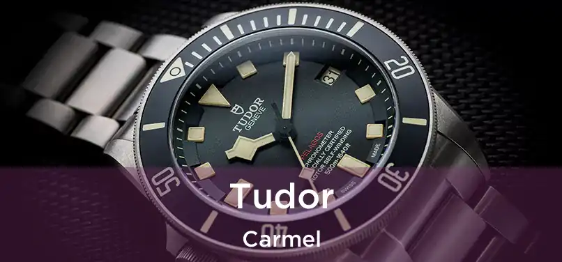 Tudor Carmel